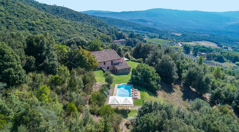 Photo of Chasing Flowers