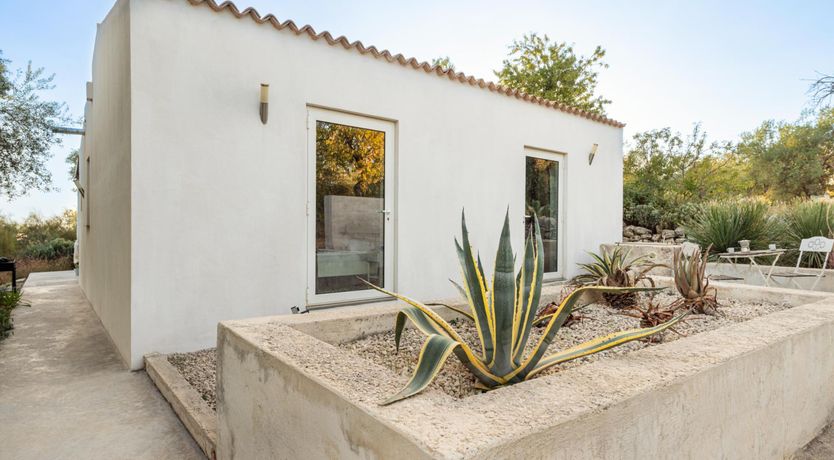 Photo of Sicilian Pearl