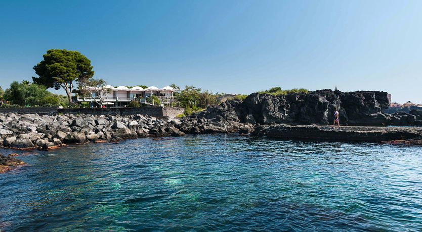 Photo of The King of Sky