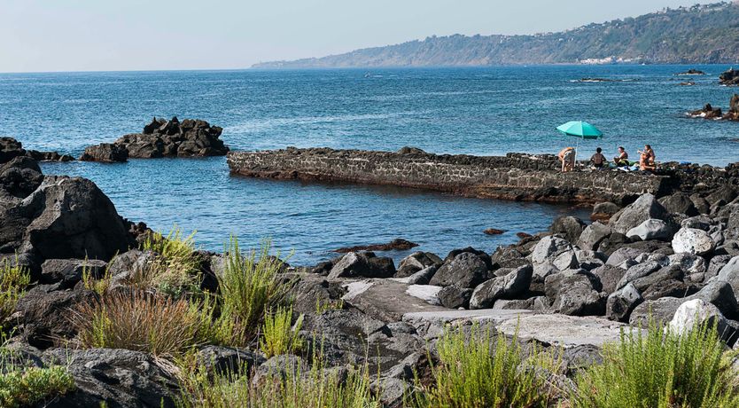 Photo of The King of Sky