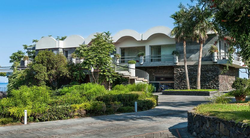 Photo of The King of Sky