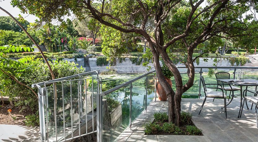 Photo of The King of Sky