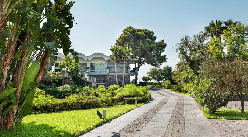 Photo of The King of Sky