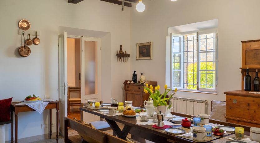 Photo of Tuscan Musings