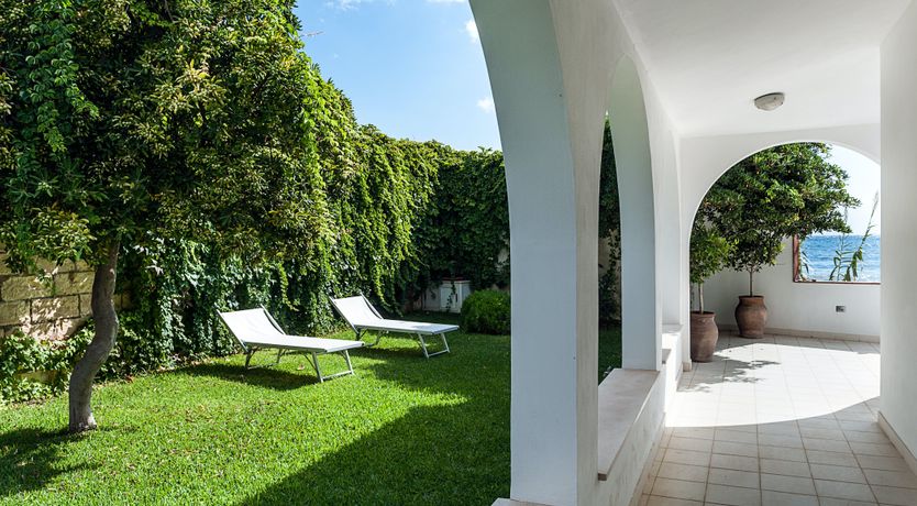 Photo of Fruit Tonic