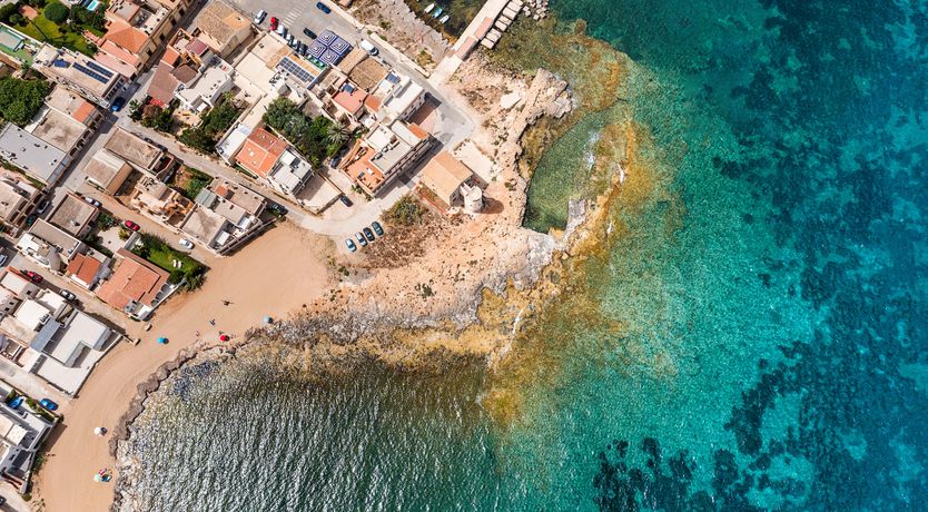 Photo of Fruit Tonic