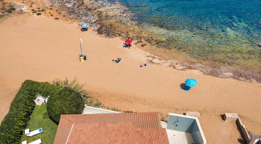 Photo of Fruit Tonic