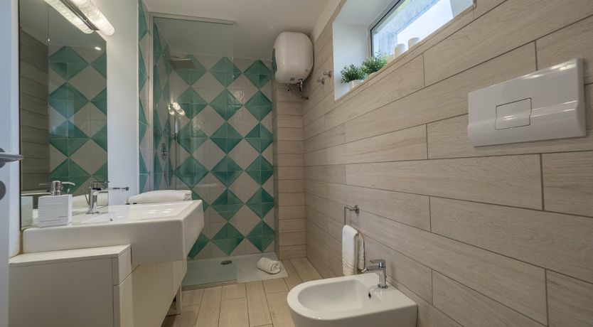 Photo of The Summer Rose