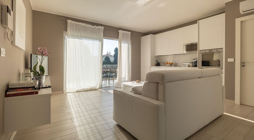 Photo of The Summer Rose