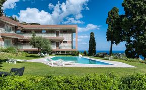 Photo of The Summer Rose