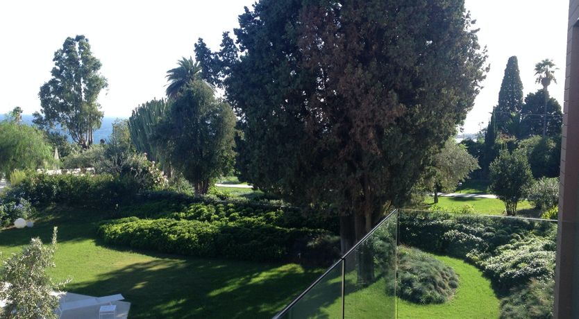 Photo of The Summer Rose