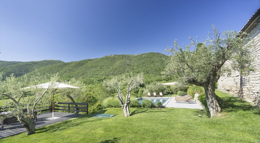 Photo of Umbrian Eye