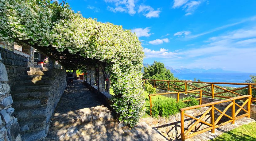 Photo of Tropical Vista