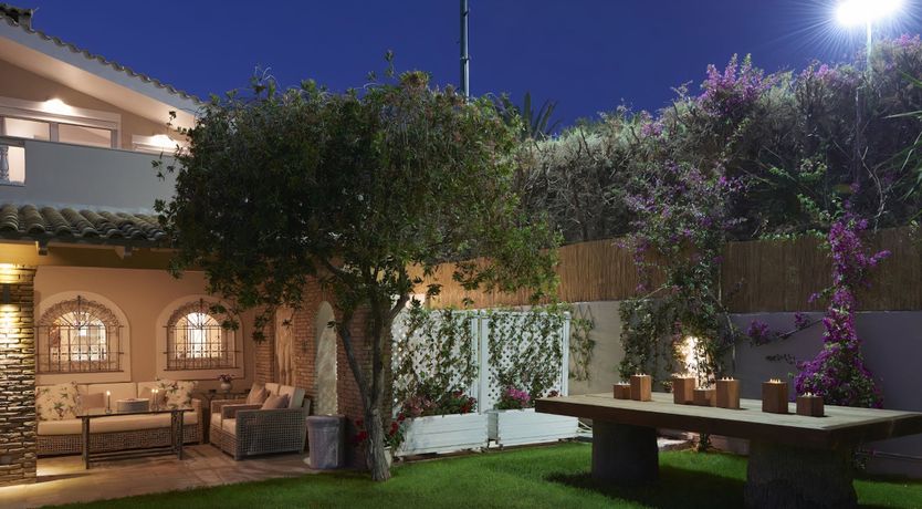 Photo of Pretty as a Peacock