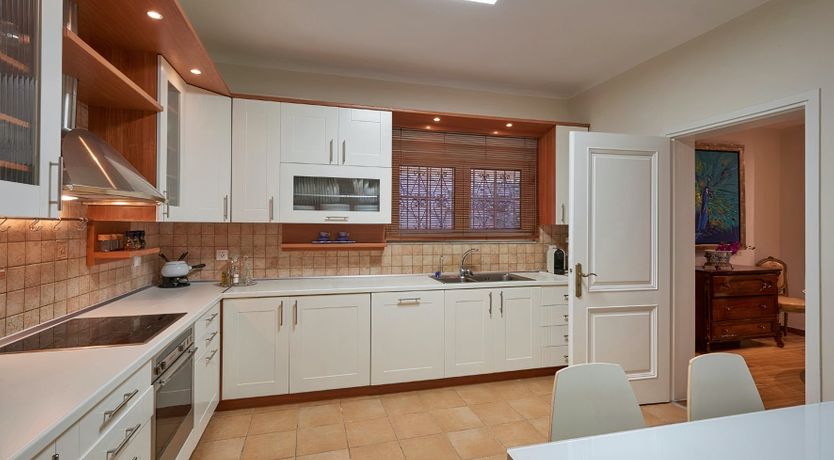 Photo of Pretty as a Peacock