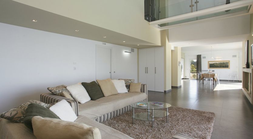 Photo of Muse In The Trees