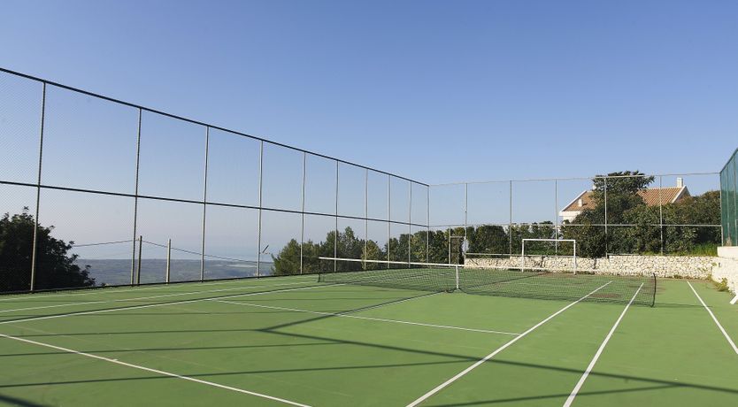 Photo of Muse In The Trees