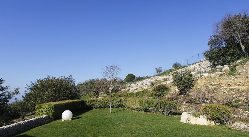 Photo of Muse In The Trees