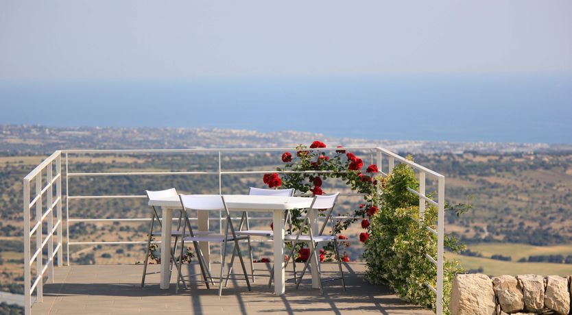 Photo of Muse In The Trees