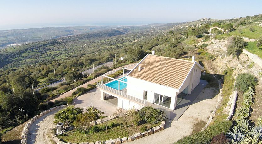 Photo of Muse In The Trees