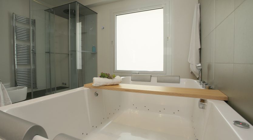 Photo of Muse In The Trees