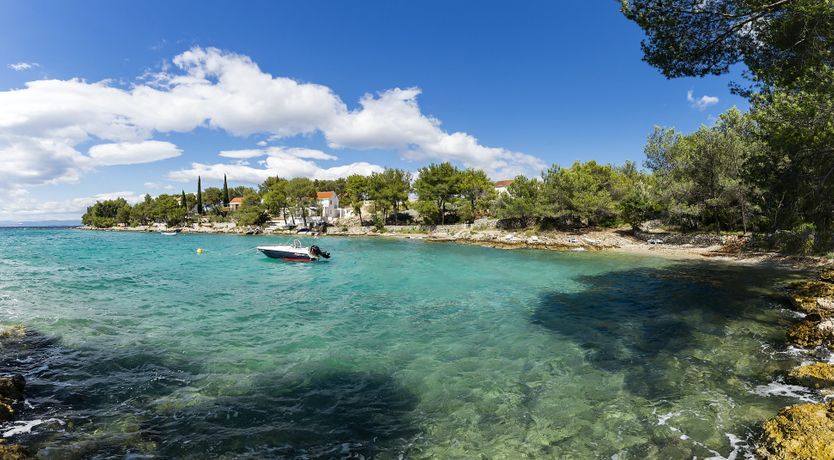 Photo of Sunburst & Gold