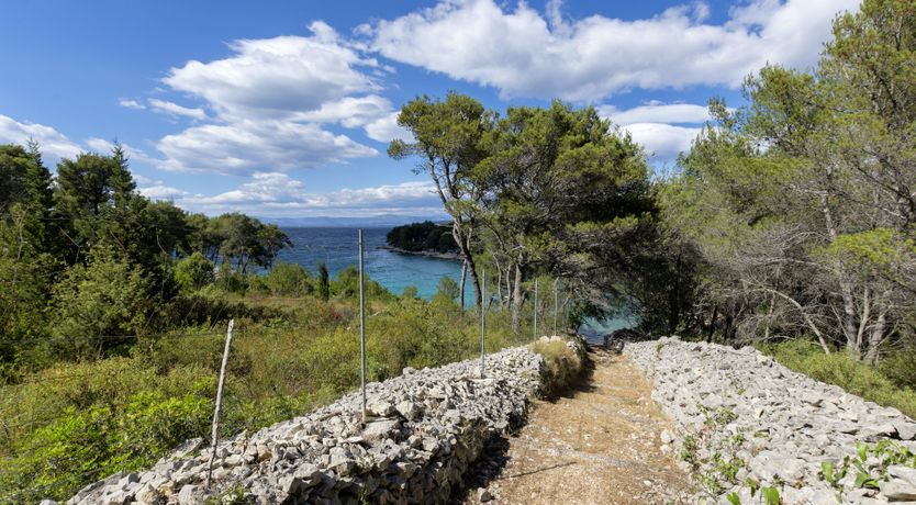 Photo of Sunburst & Gold