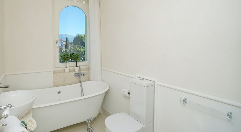 Photo of Roses & Cream