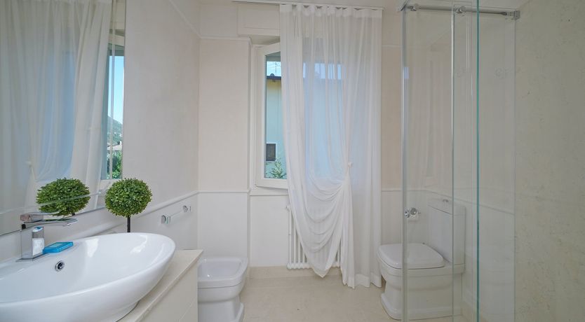 Photo of Roses & Cream