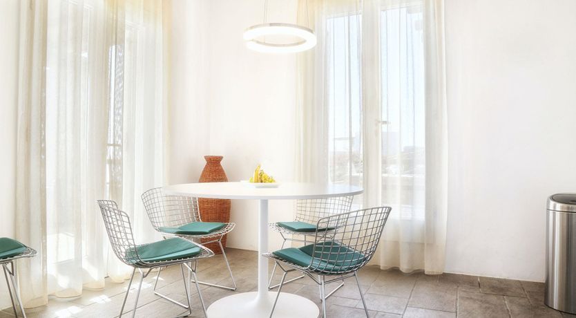 Photo of Rose Petals on the Horizon