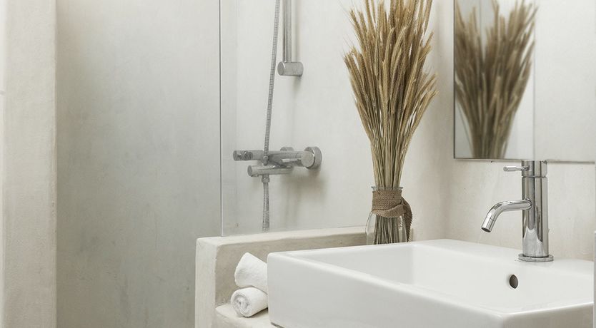 Photo of Rose Petals on the Horizon