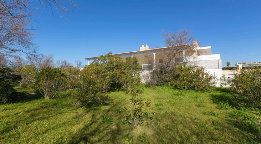 Photo of Touch of Olive