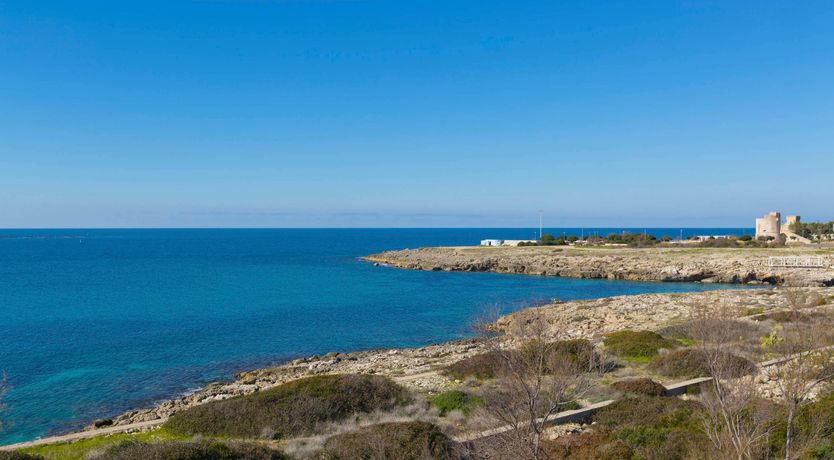 Photo of Touch of Olive