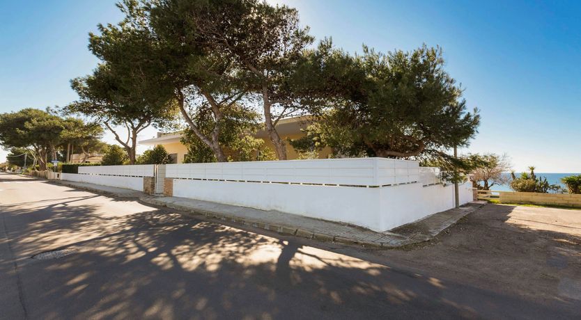 Photo of Touch of Olive