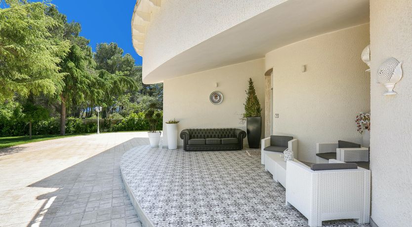 Photo of The Magic of Oria