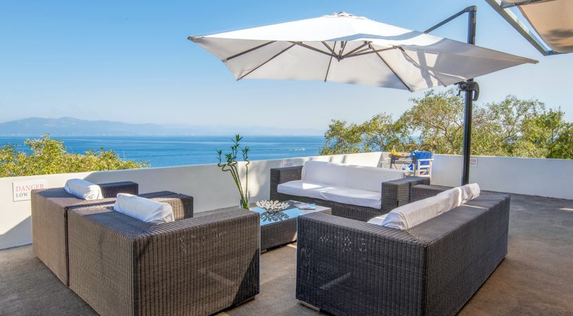 Photo of Coconut Blossom