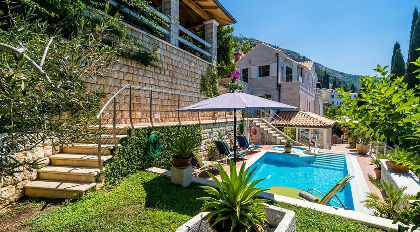 Photo of Dalmatian Dreamer