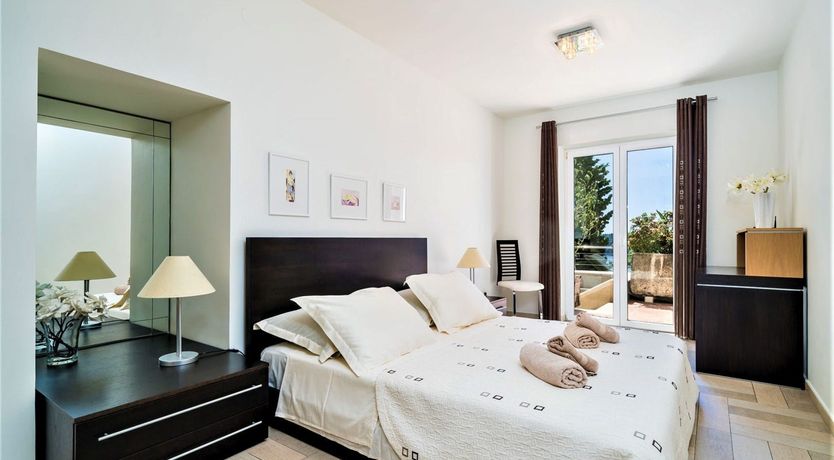 Photo of Dalmatian Dreamer