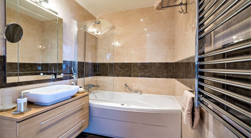 Photo of Dalmatian Dreamer