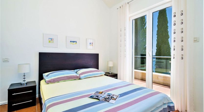 Photo of Dalmatian Dreamer