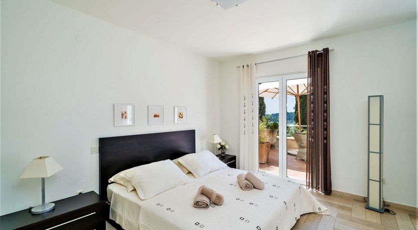 Photo of Dalmatian Dreamer