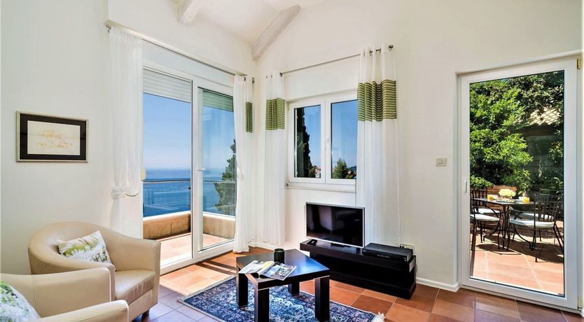 Photo of Dalmatian Dreamer