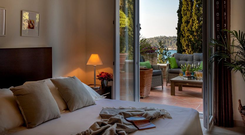 Photo of Dalmatian Dreamer