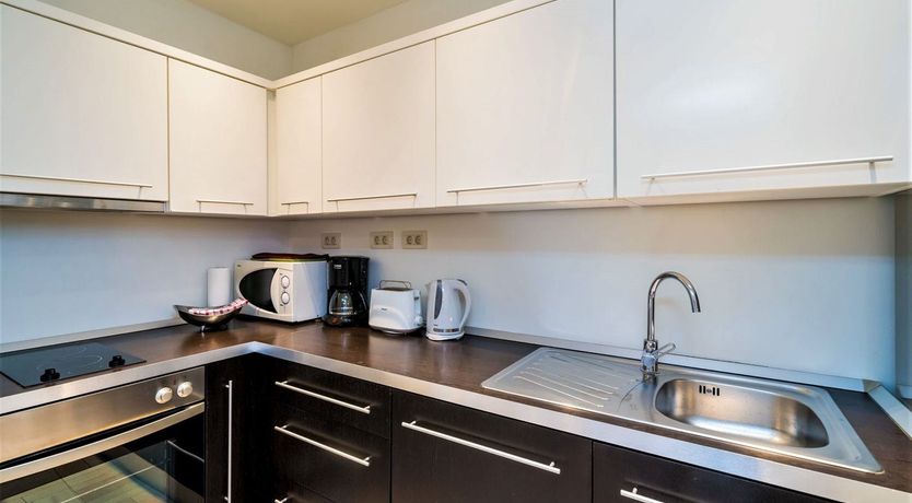 Photo of Dalmatian Dreamer