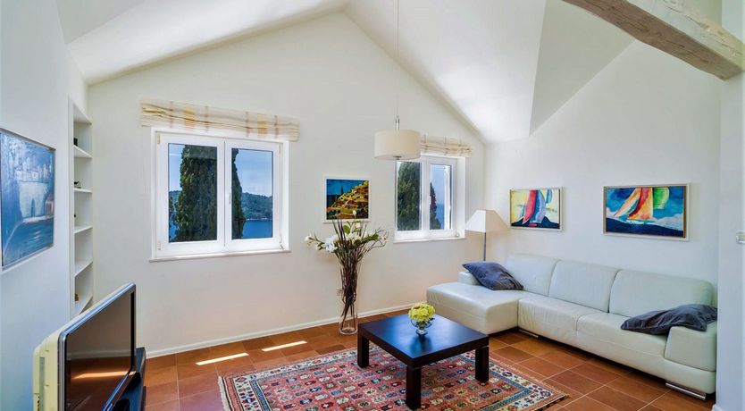 Photo of Dalmatian Dreamer