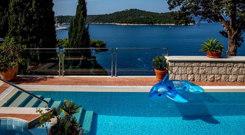 Photo of Dalmatian Dreamer