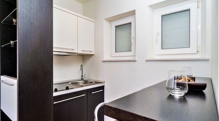 Photo of Dalmatian Dreamer