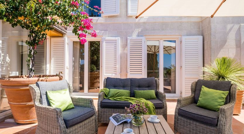 Photo of Dalmatian Dreamer