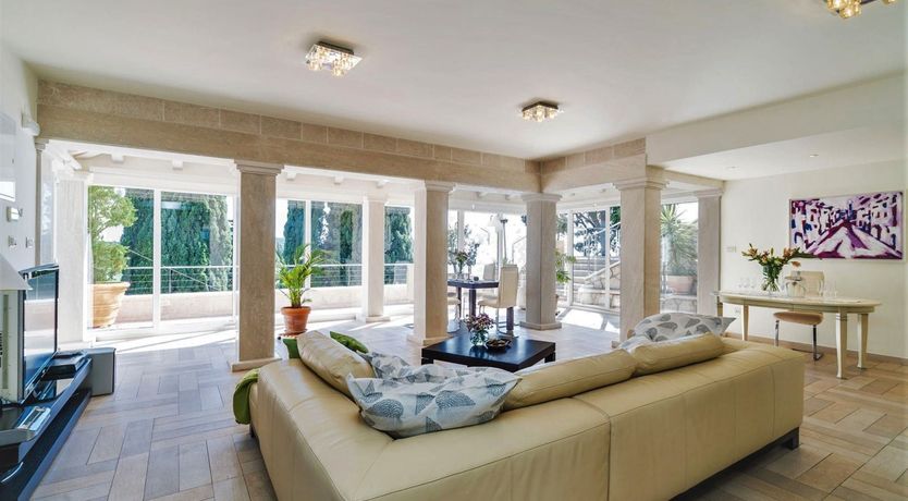 Photo of Dalmatian Dreamer