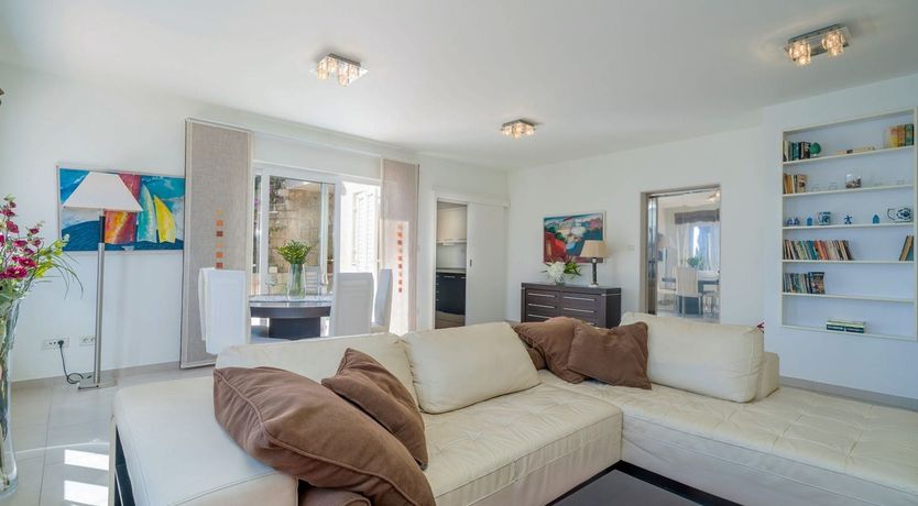 Photo of Dalmatian Dreamer